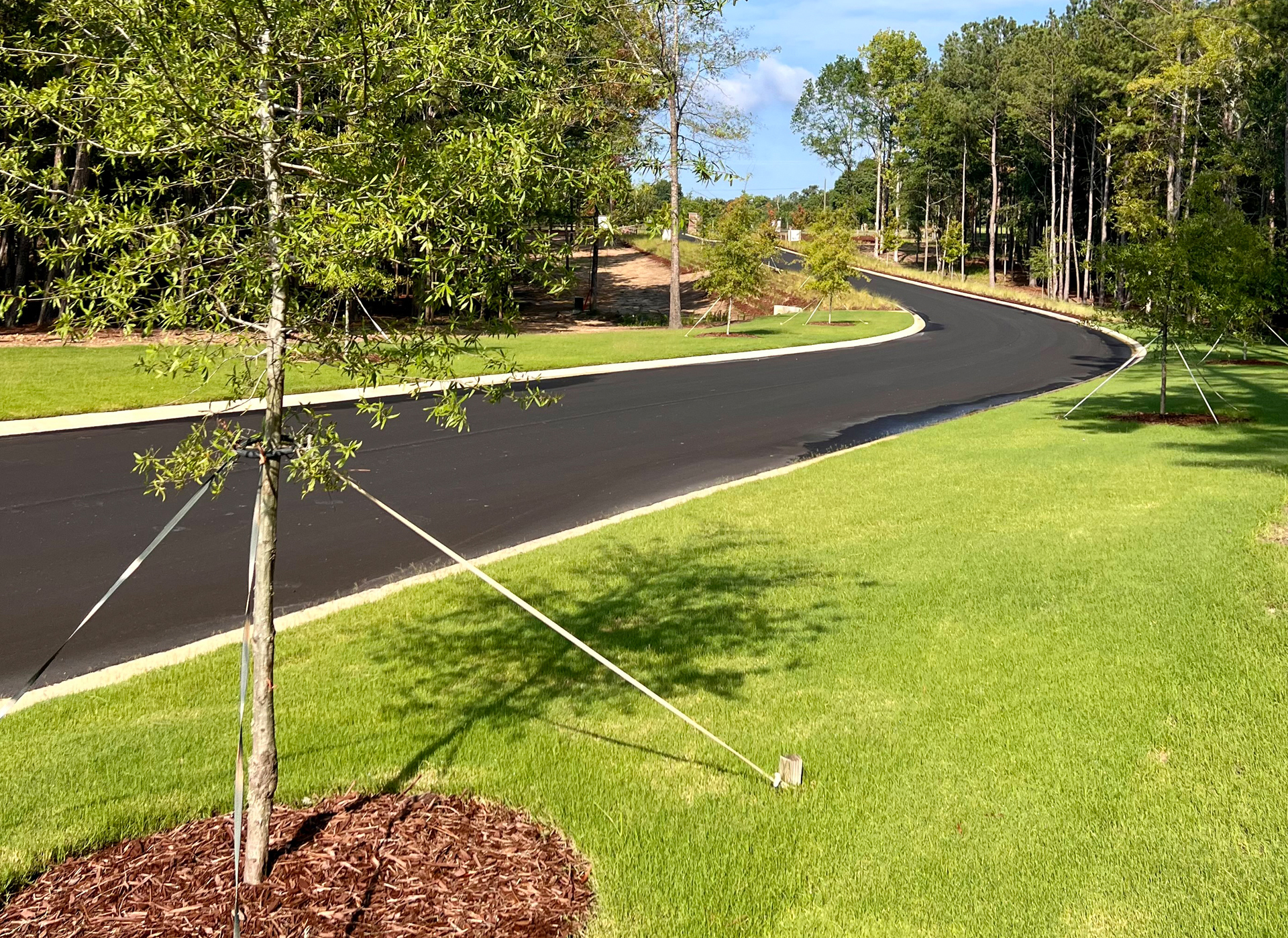 Paved & Landscaped Community  |  Stewart Landing on Lake Murray