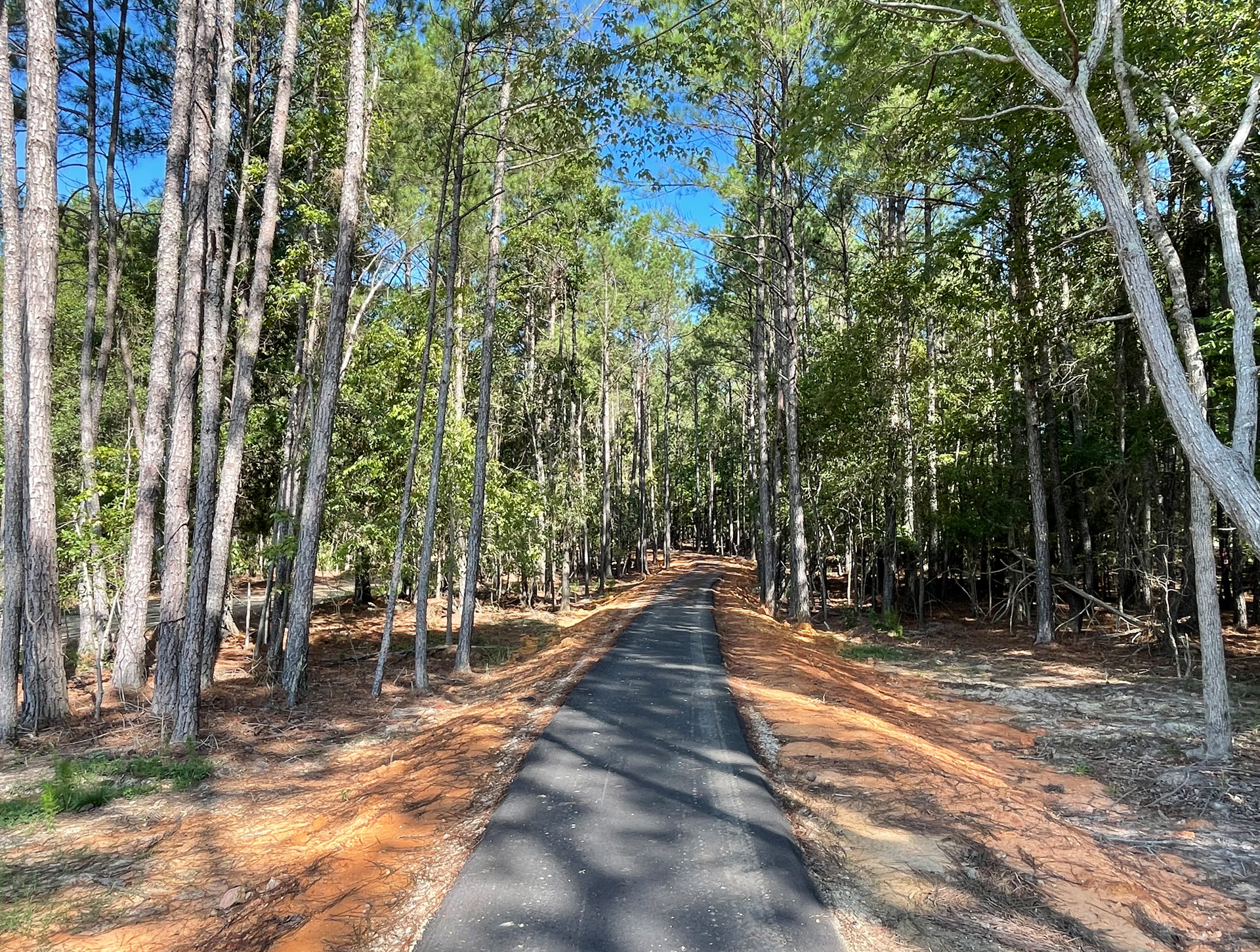 Golf Cart & Walking Trails Throughout the Stewart Landing Community